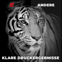 Kompatibel für Epson Workforce WF 2960 (503XL/C13T09R34010) Tintenpatrone Magenta