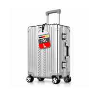 WINLIFE® Größe L Reisekoffer Alu-Rahmen mit ABS & TSA Nummern-Schloss 65cm Hartschalenkoffer | Trolley Farbe-Silber
